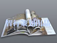 智行策劃設計(東莞) 一站式創意與設計解決方案專家